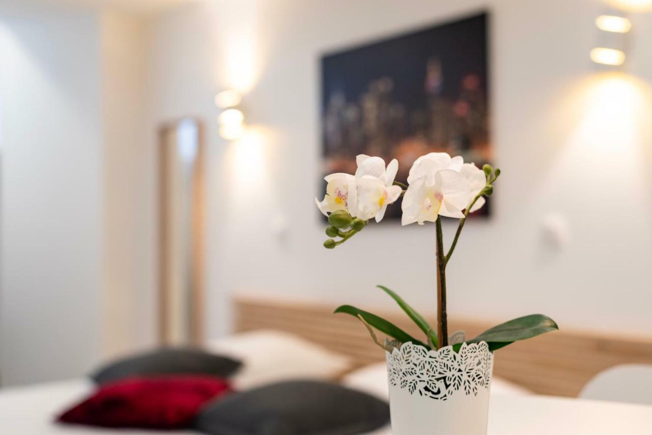 Citycosy Strasbourg - Studio Hirtz Orangerie Kültér fotó